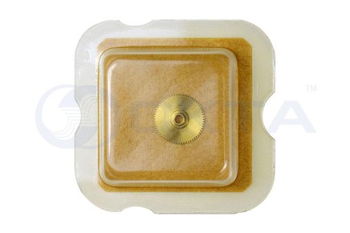 Колесо годинне,<br>ETA 2836-2, H3